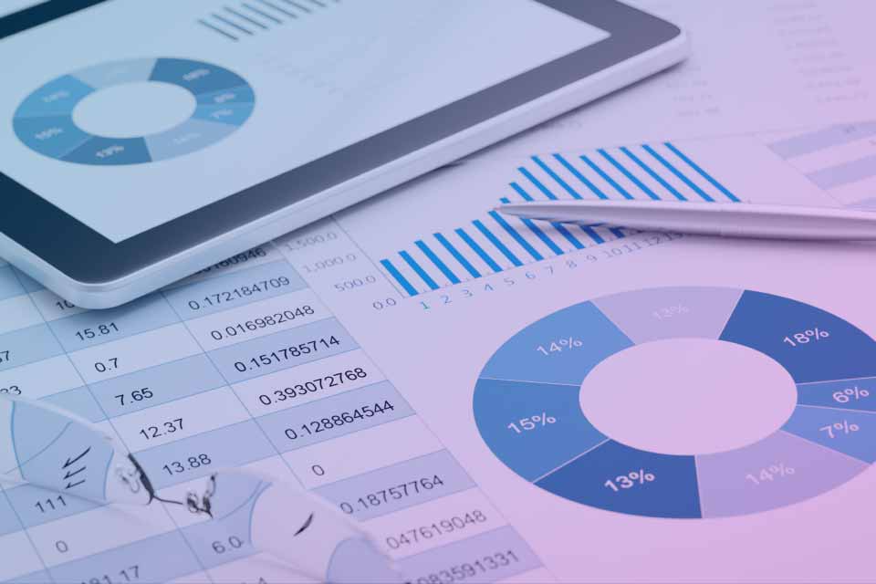 Market Analysis / Product Launch 